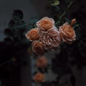 武警互摸隐私㊙️网站
